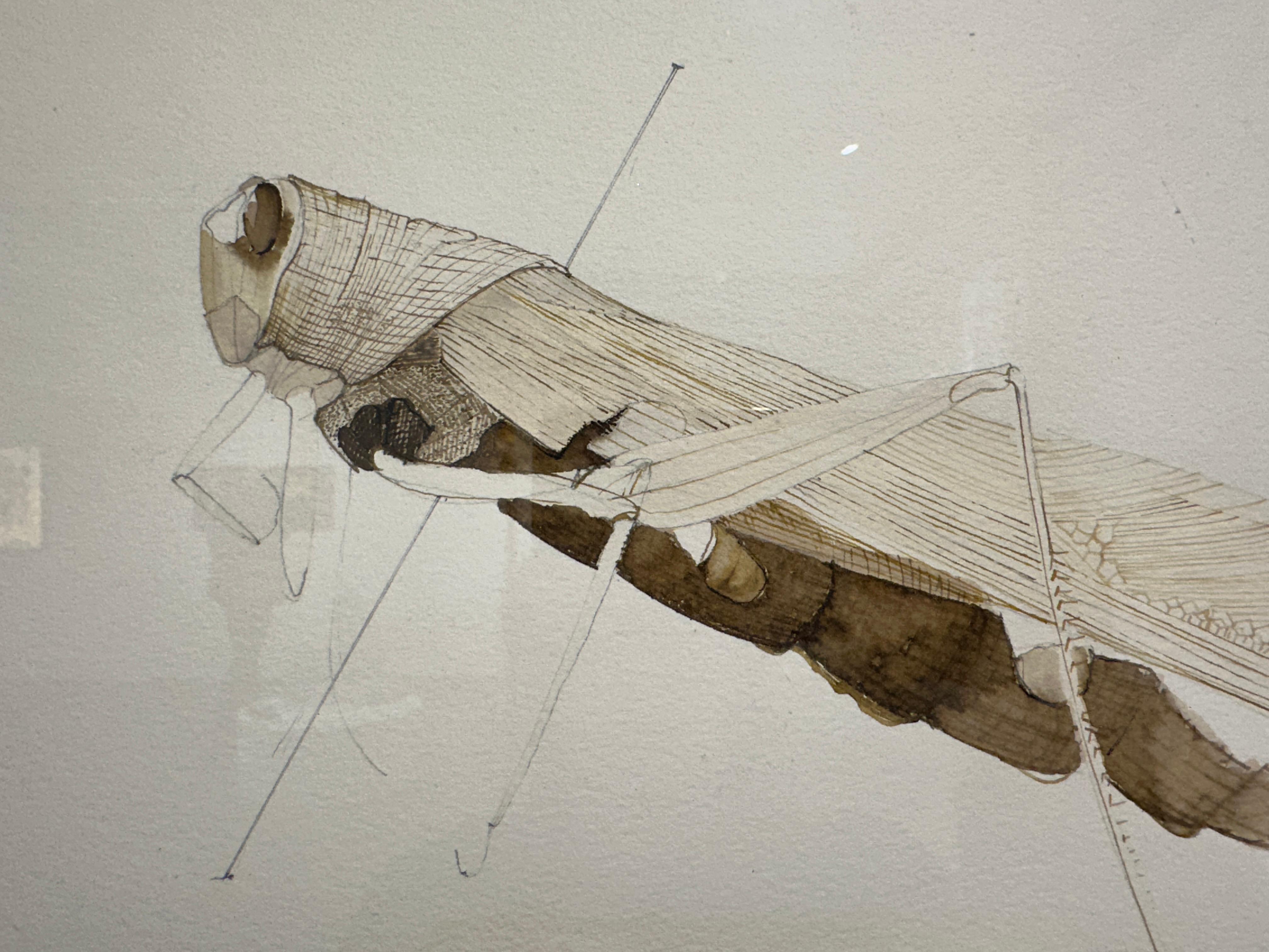NOOR US SABAH SAEED